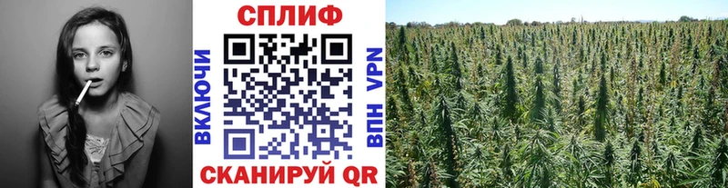Марихуана SATIVA & INDICA  Купить закладки  Мещовск 
